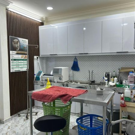 IMG-20251029-WA0012
